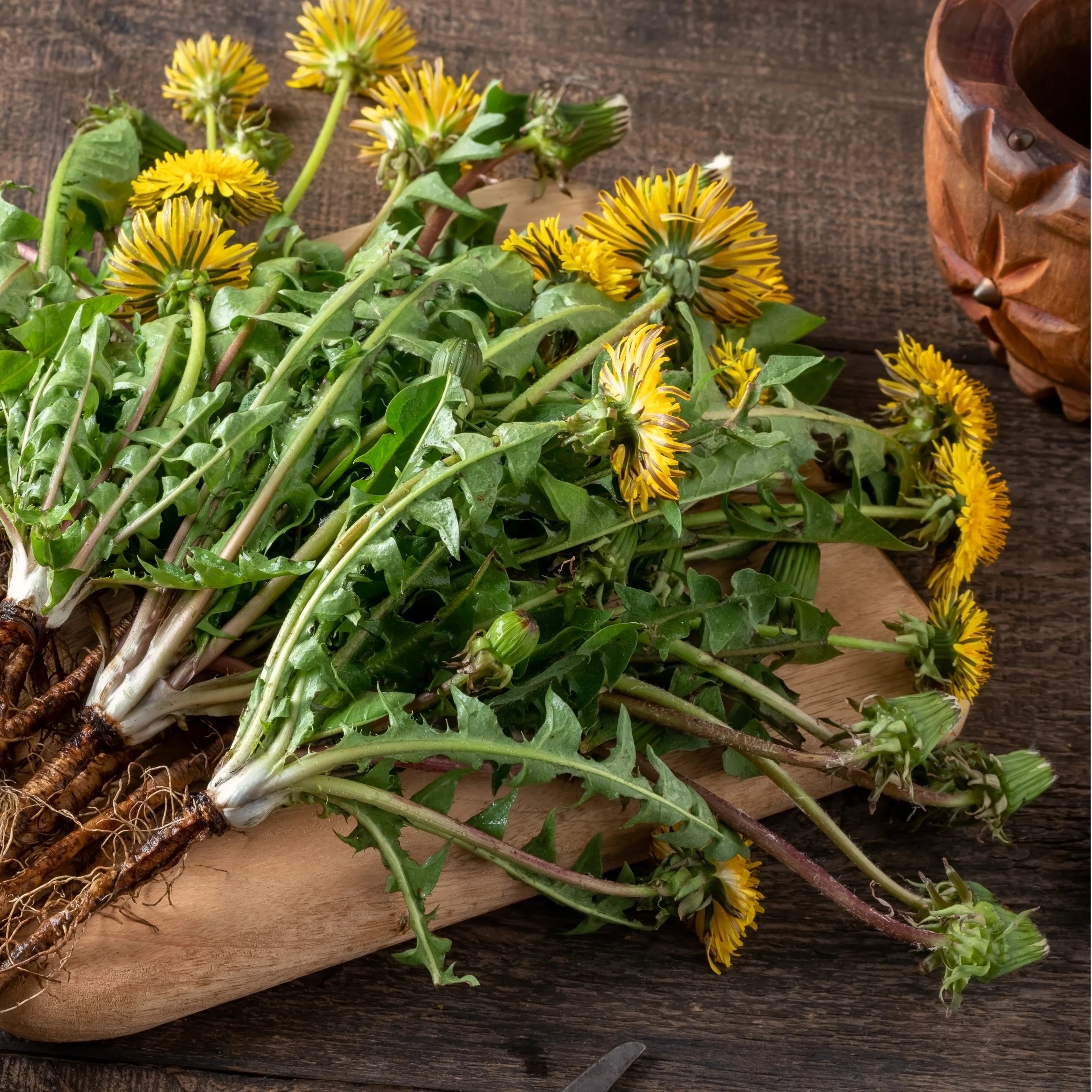 Entgiftung & Stoffwechsel - Smart Fasting