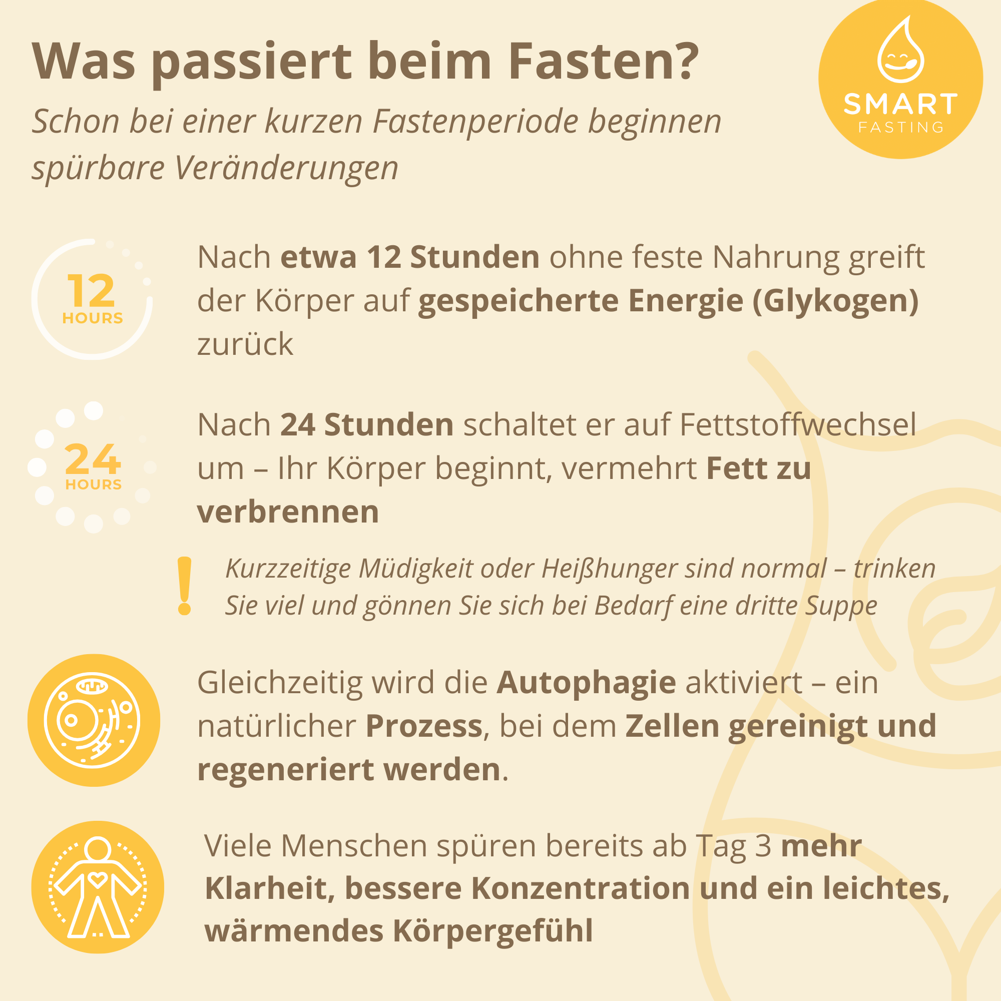 "COMPLETE FIVE" SmartFasting Box – Intensiv Fastenkur mit Suppen & Tees