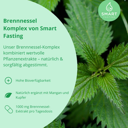 Brennnessel Komplex – Mit Mangan & Kupfer - PZN 19838125