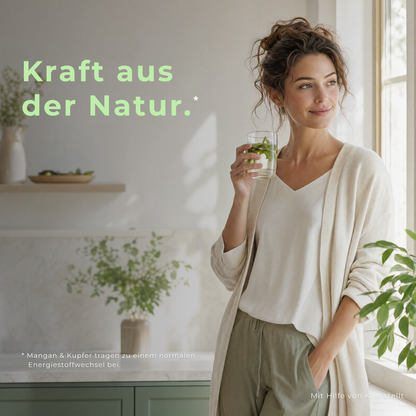 Brennnessel Komplex – Mit Mangan & Kupfer - PZN 19838125