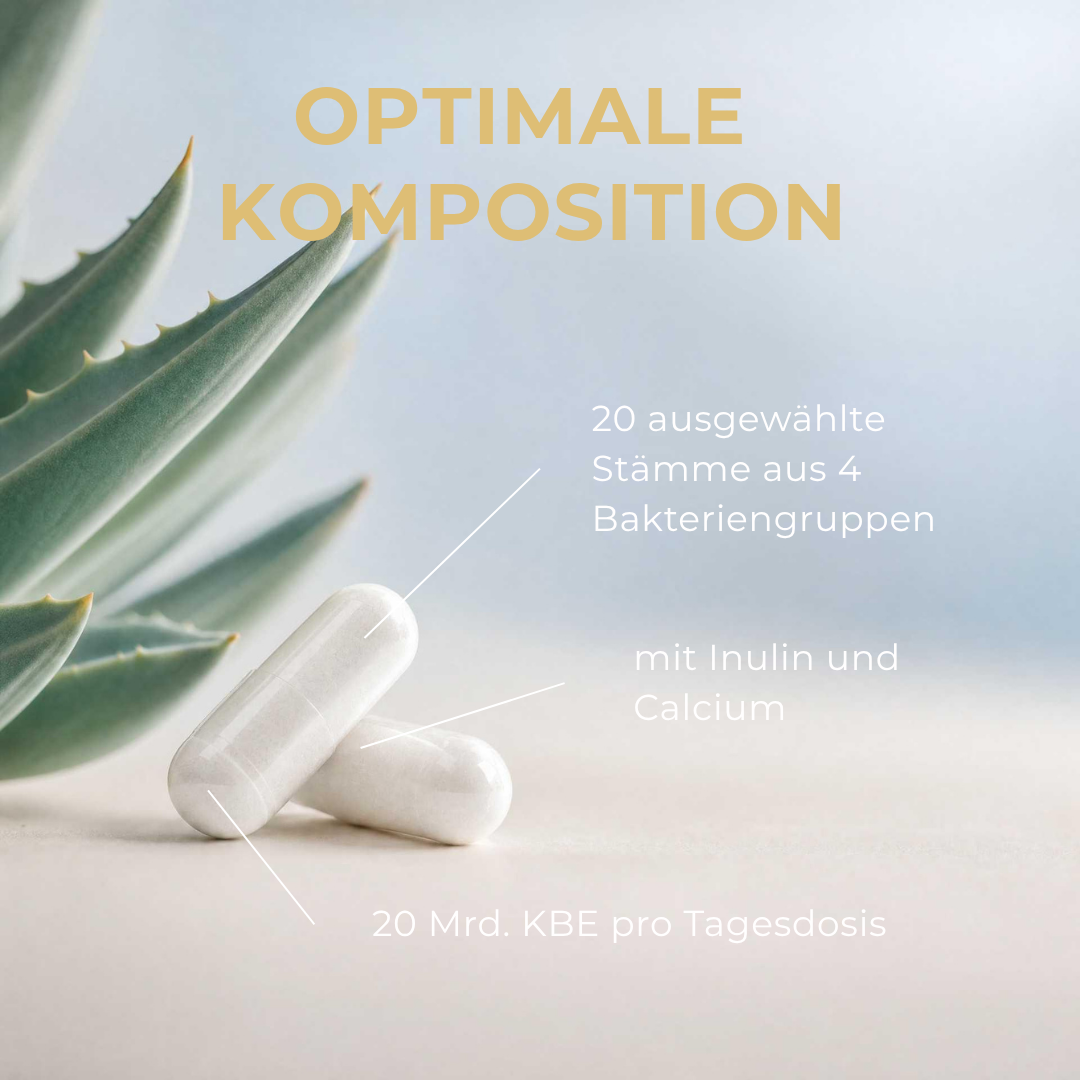 Kulturen Komplex - mit Inulin & Calcium - PZN 19838148